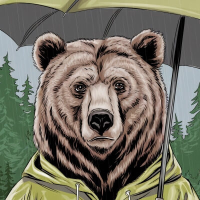 Stormy Grizzly